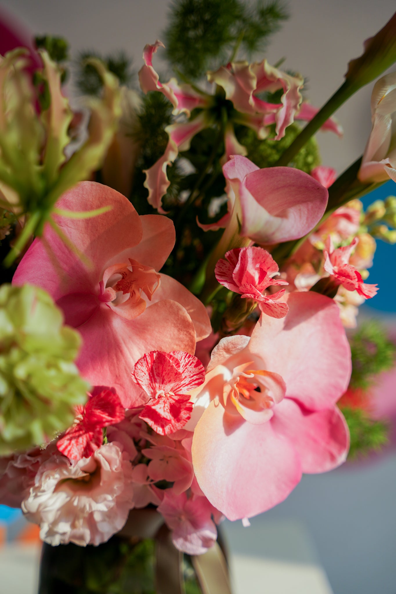 Rosette In a Vase