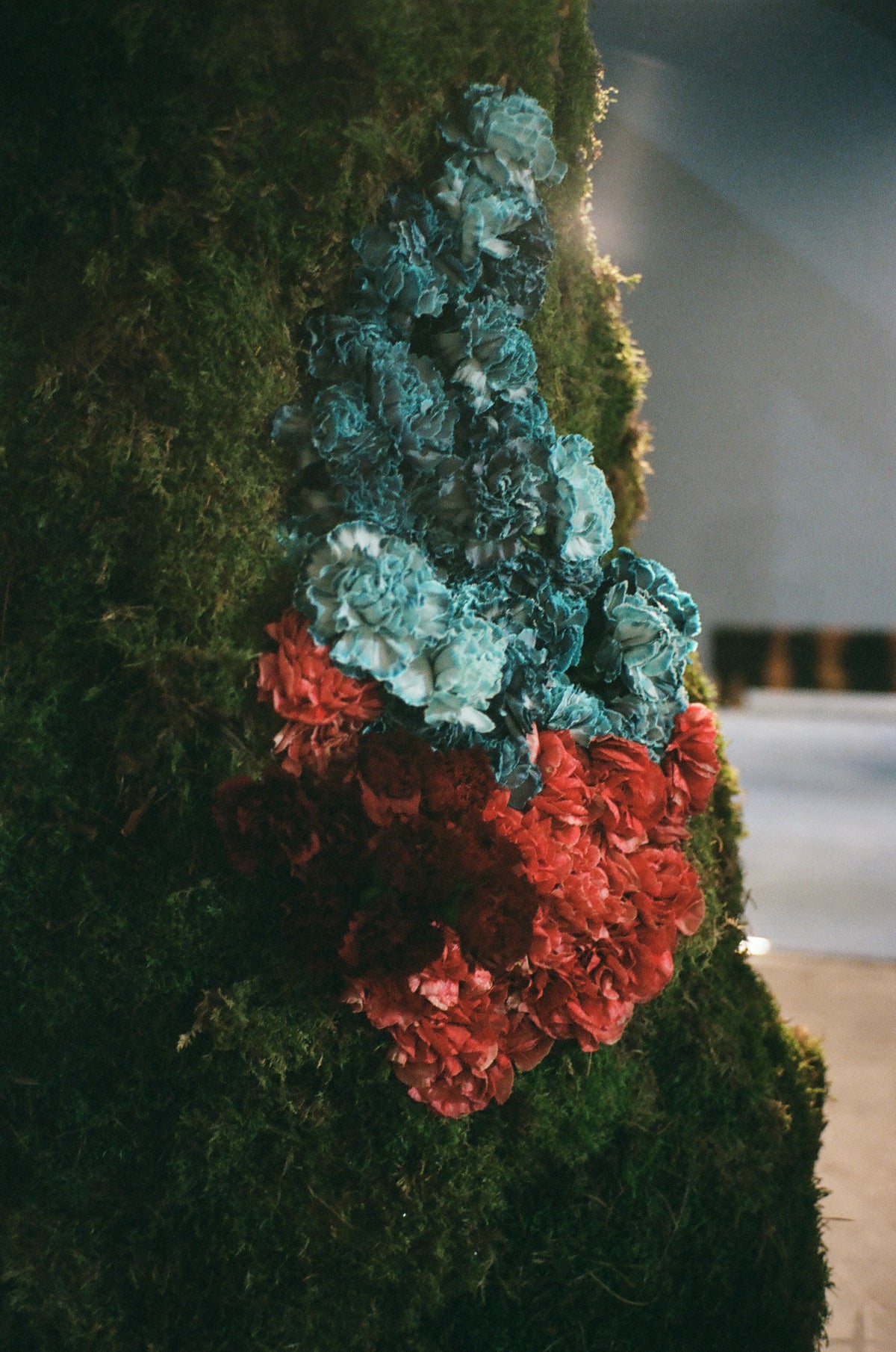Shifted Mirrors: Fragments of a Dreamed East